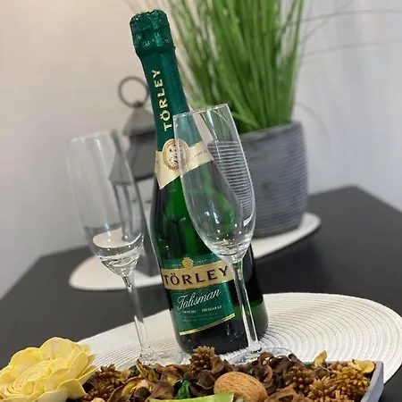 Daylight Center Apartament Seghedin